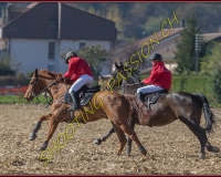 1CHASSE0684