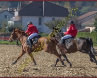 1CHASSE0685