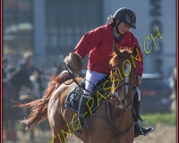 1CHASSE0688