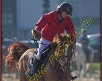 1CHASSE0690