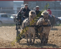 1CHASSE0698