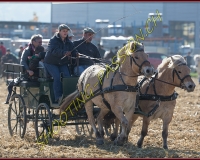 1CHASSE0706