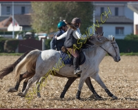 1CHASSE0720