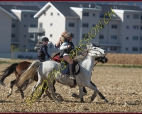 1CHASSE0726