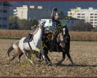 1CHASSE0728