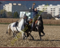 1CHASSE0729