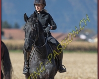 1CHASSE0738