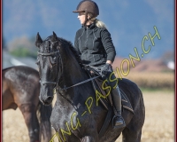1CHASSE0740