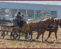 1CHASSE0744