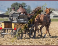 1CHASSE0747