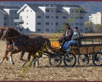 1CHASSE0750