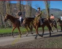 2CHASSE0001