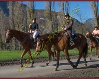 2CHASSE0006