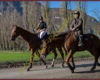 2CHASSE0008
