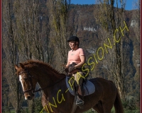2CHASSE0011