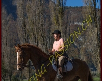 2CHASSE0013