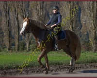 2CHASSE0021
