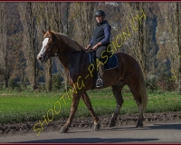 2CHASSE0023