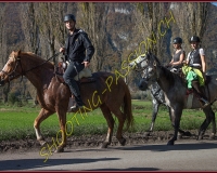 2CHASSE0034