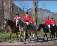 2CHASSE0044