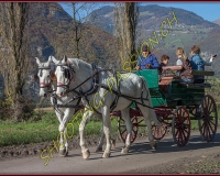 2CHASSE0055