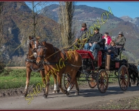 2CHASSE0060