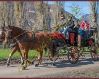 2CHASSE0067