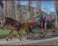 2CHASSE0070-Modifier