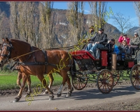 2CHASSE0071