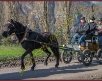 2CHASSE0074