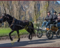 2CHASSE0077