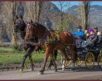 2CHASSE0085