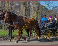 2CHASSE0088