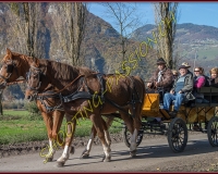 2CHASSE0093
