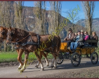 2CHASSE0100