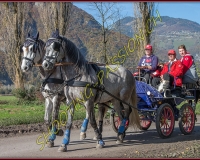 2CHASSE0103