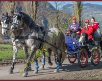 2CHASSE0107