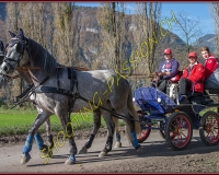 2CHASSE0116