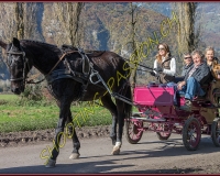 2CHASSE0119