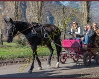 2CHASSE0120