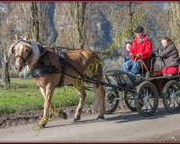 2CHASSE0132