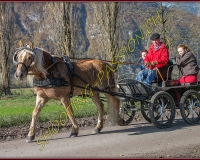 2CHASSE0135
