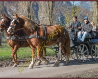 2CHASSE0138