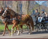 2CHASSE0140