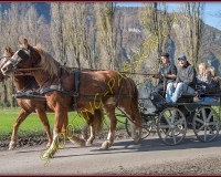 2CHASSE0143