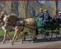 2CHASSE0147