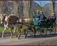 2CHASSE0150