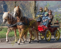 2CHASSE0156