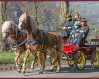 2CHASSE0159