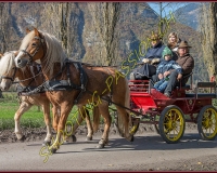 2CHASSE0161